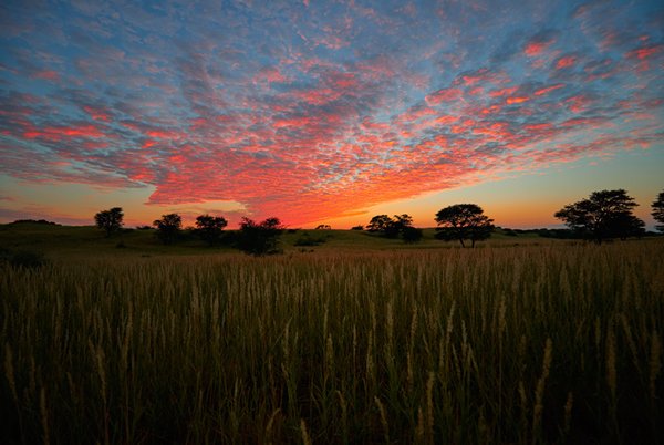 Photo: With the storm clouds clearing, could agriculture prove Africa’s game-changer? (Shutterstock.com)