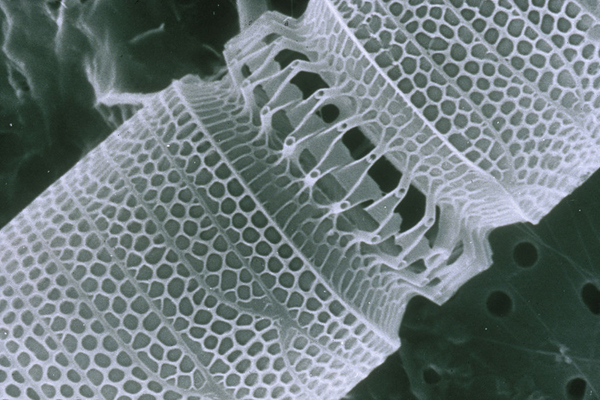 照片: 纳米技术利用微小粒子制造建材。