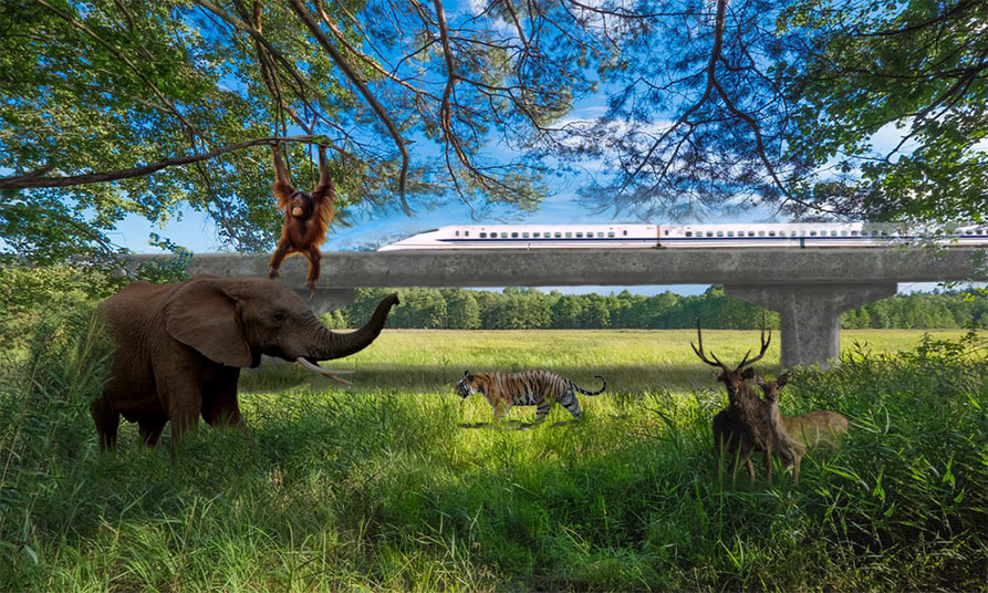 Photo: The East Coast Rail Link: A nature-loving artist’s impression.