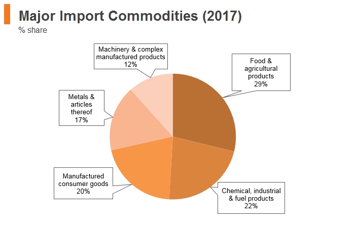 Graph: Egypt major import commodities (2017) Graph: Egypt major import commodities (2017)