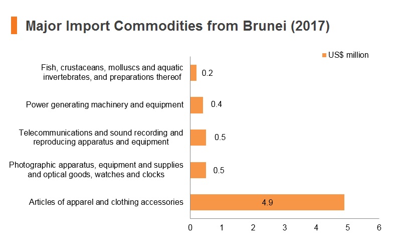 Graph: Major import commodities from Brunei (2017) Graph: Major import commodities from Brunei (2017)
