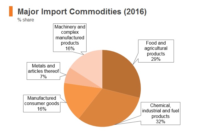 Graph: Palestine major import commodities (2016)