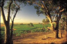 South Australia’s premier wine region, the Barossa Valley, is set for more exposure in Greater China