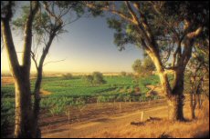 South Australias premier wine region, the Barossa Valley, is set for more exposure in Greater China