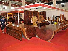 Exhibition counters at the exhibition.