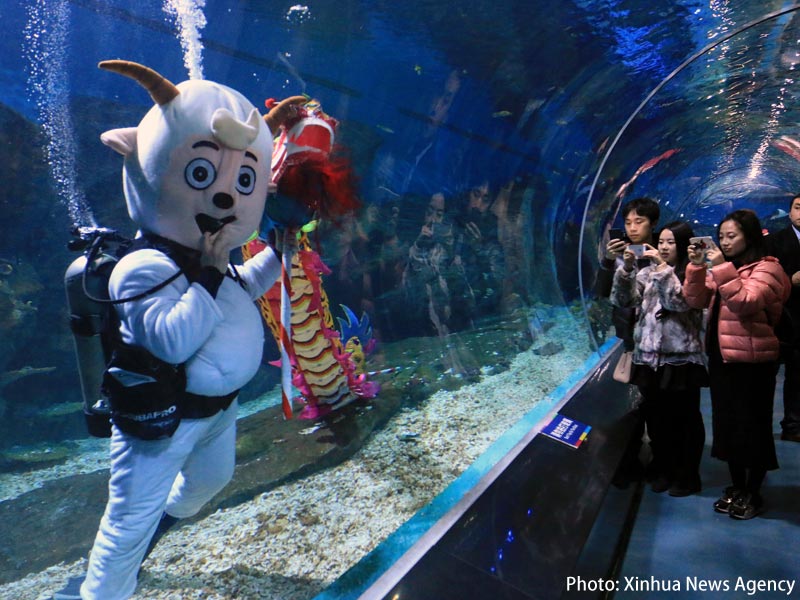 Photo: New Year greetings from “Pleasant Goat” in Wuhan Polar Ocean World. (Xinhua News Agency)