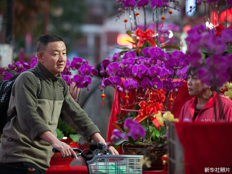 照片:市民在深圳福田花市选购年花。(新华社) 照片:市民在深圳福田花市选购年花。(新华社)