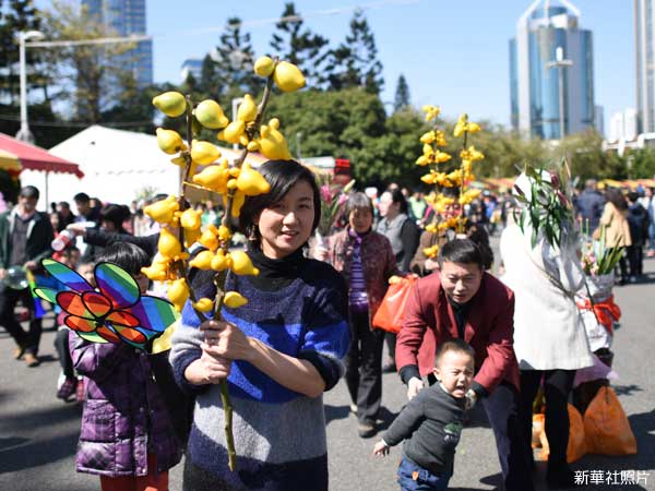 照片:廣州市民在天河花市購買年花。(新華社) 照片:廣州市民在天河花市購買年花。(新華社)