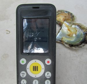 相片：读取藏在珍珠核内的RFID标签可准确知道珍珠的来源、等级等资料 (相片由香港货品编码协会提供)