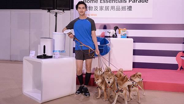 柴犬组合WE5 柴犬组合WE5