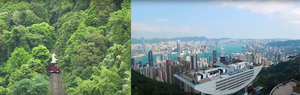 山顶 山顶
