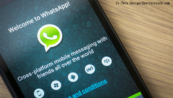 Whatsapp Whatsapp
