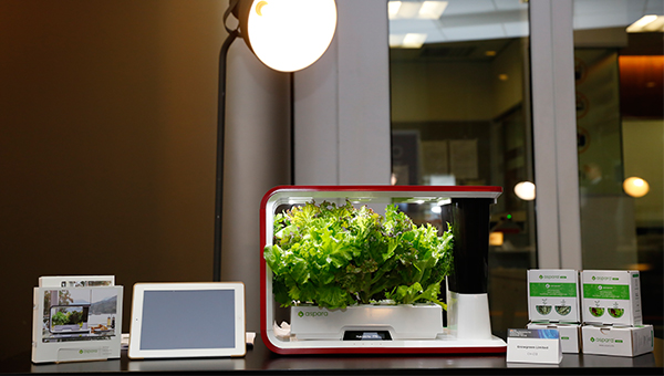 智能家用水耕種植機 智能家用水耕種植機