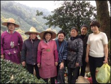 Mingcha sources tea directly from tea farmers on the Chinese mainland