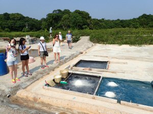 Visitors explore the newly operational salt pans during an AdventuretoursHK guided tour Visitors explore the newly operational salt pans during an AdventuretoursHK guided tour