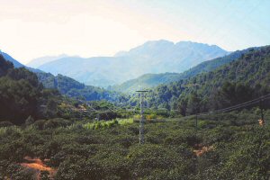 Electrification: many remote parts of Africa are still off the grid Electrification: many remote parts of Africa are still off the grid