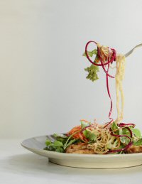Kelp Noodle Kelp Noodle