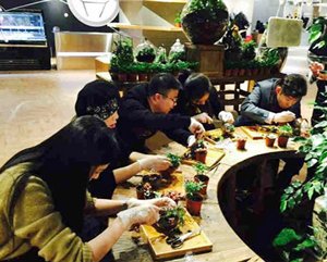 A cultivation class at a bottle garden shop A cultivation class at a bottle garden shop