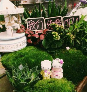 Wedding weeds: bespoke betrothal botany Wedding weeds: bespoke betrothal botany
