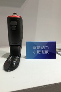 Below-the-knee prosthetics Below-the-knee prosthetics