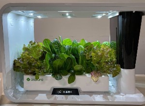 hydroponic smart growers hydroponic smart growers