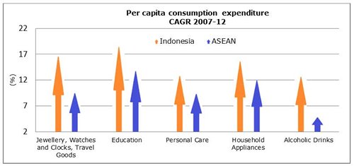 Chart: Per capita consumption expenditure CAGR 2007-12