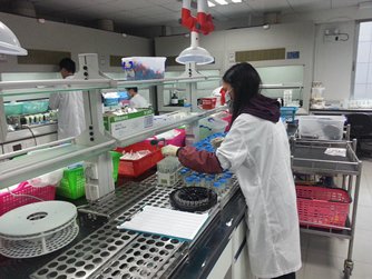 Photo: China’s testing services