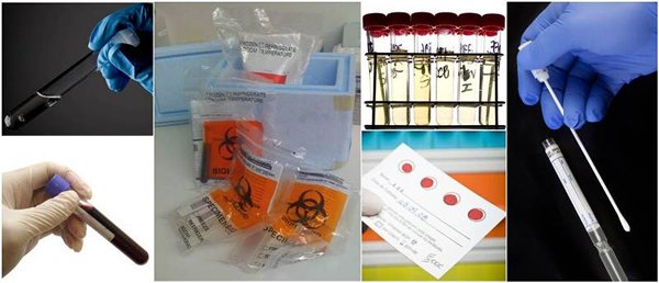相片: CGC Genetics 相片: CGC Genetics