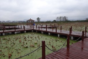 相片:江苏省发展养生休闲项目 相片:江苏省发展养生休闲项目