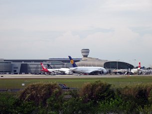 相片:由邁阿密國際機場飛往拉美國家的航班數量較美國其他機場為多。 相片:由邁阿密國際機場飛往拉美國家的航班數量較美國其他機場為多。