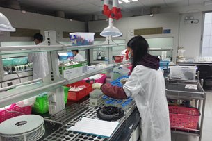 相片:社會關注食品安全 相片:社會關注食品安全