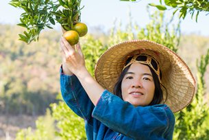 相片:内地有机食品市场方兴未艾(一) 相片:内地有机食品市场方兴未艾(一)