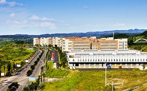 Photo: Hong Kong Industrial Park in Chongqing.