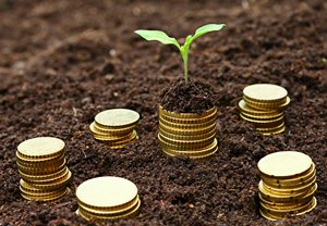 Photo: Some Huizhou enterprises are open to making direct investments in Belt and Road countries Photo: Some Huizhou enterprises are open to making direct investments in Belt and Road countries