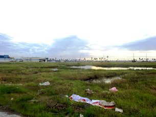 Photo: Undeveloped land plot in the PPSEZ. Photo: Undeveloped land plot in the PPSEZ.