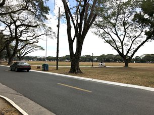 Photo: Green environment in the Clark Freeport Zone. Photo: Green environment in the Clark Freeport Zone.
