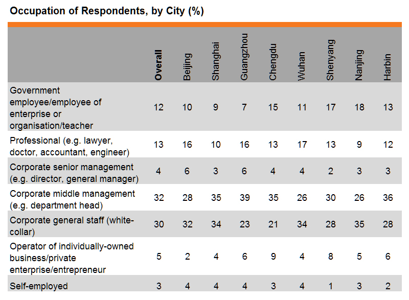 Table: Occupation of Respondents, by City (%)