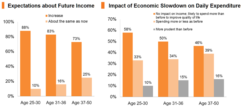 Chart: Expectations about Future Income_Impact of Economic Slowdown on Daily Expenditure Chart: Expectations about Future Income_Impact of Economic Slowdown on Daily Expenditure