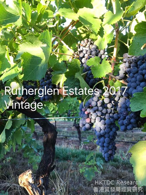 Photo: Rutherglen Estates 2017 Vintage.
