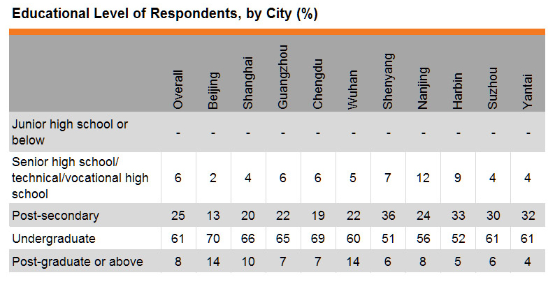 Table: Education Level of Respondents, by City