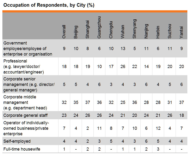 Table: Occupation of Respondents, by City