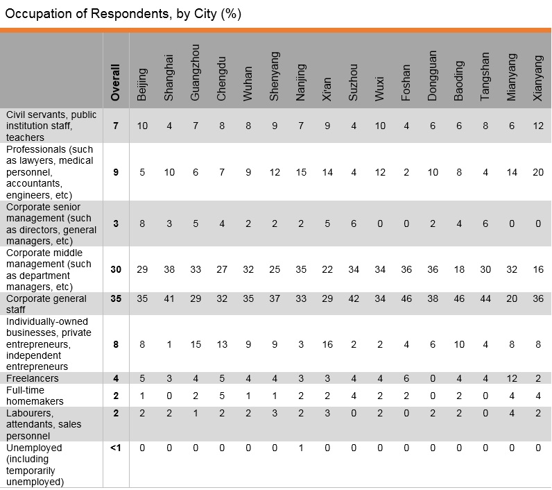 Table: Occupation of Respondents, by City (%)