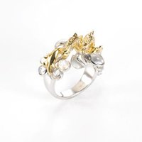 The 13th Hong Kong Jewellery Design Competition, Student Group Merit Award, Dragon in the Cloud