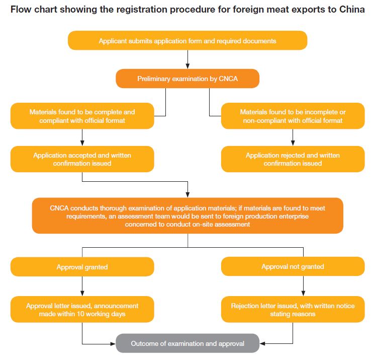 Import Export Flow Chart Procedure