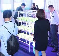 HKTDC Hong Kong International Lighting Fair (SE) Horticulture HKTDC Hong Kong International Lighting Fair (SE) Horticulture
