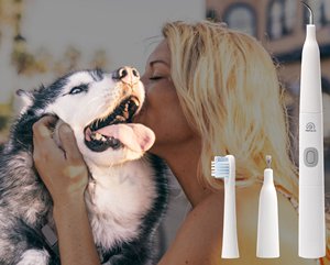 Pet-Inno Products Limited InnoSonic Pet-Inno Products Limited InnoSonic