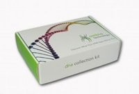 Kit de depistage Ambio Kit de depistage Ambio