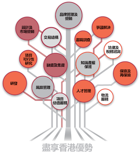 why-hong-kong-Tc why-hong-kong-Tc