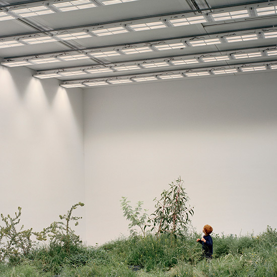 Baracco + Wright Architects