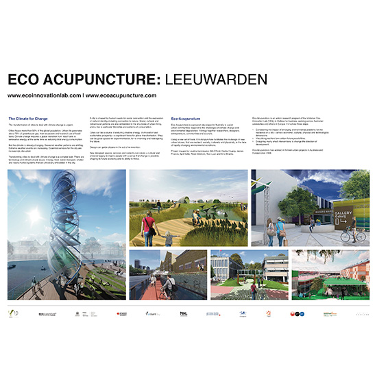 Eco-Acupuncture International